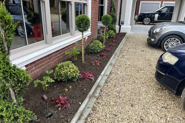 Planting-08