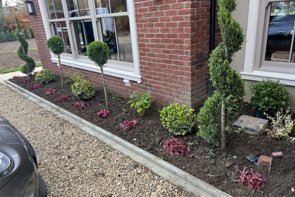 Planting-09