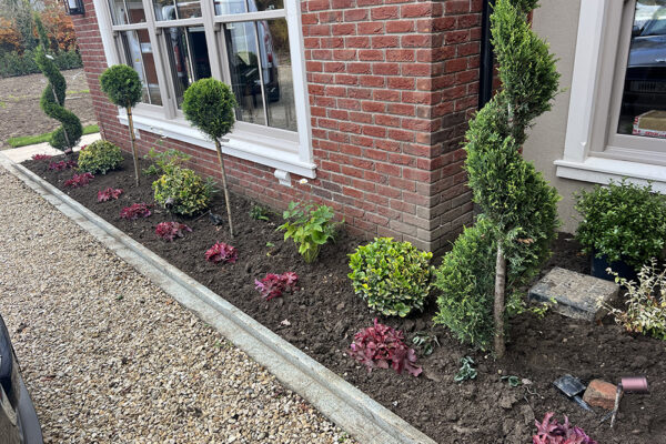 Planting-10