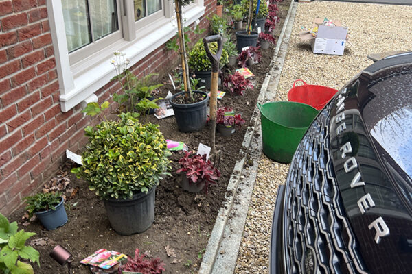 Planting-11
