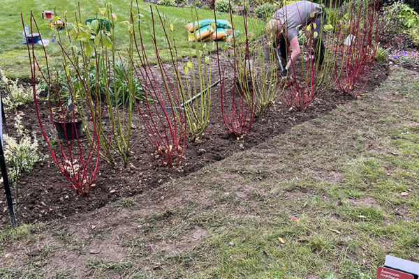 Planting-12