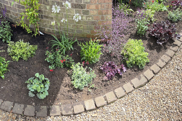 Planting-21