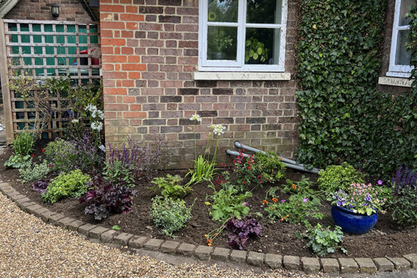 Planting-23