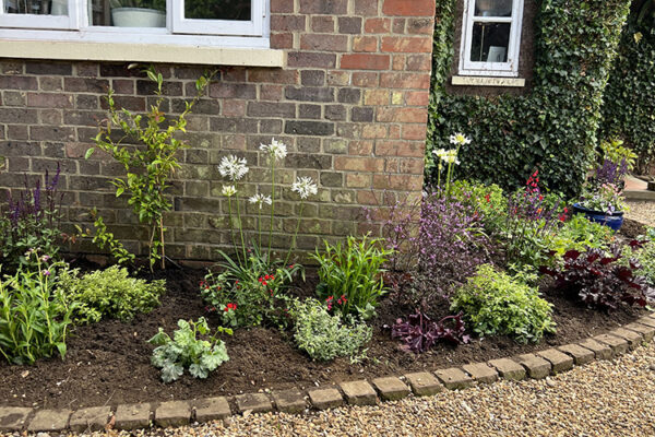 Planting-24