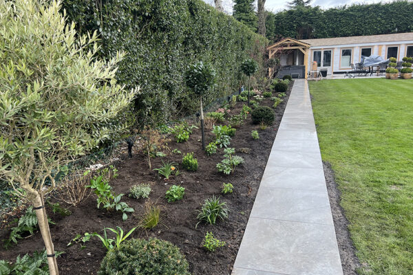 Planting-26