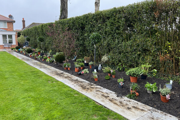 Planting-29
