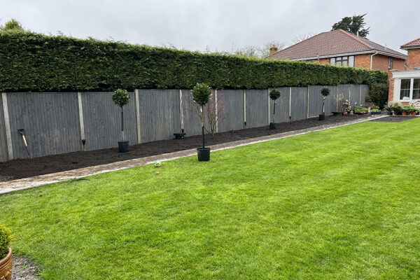 Planting-30