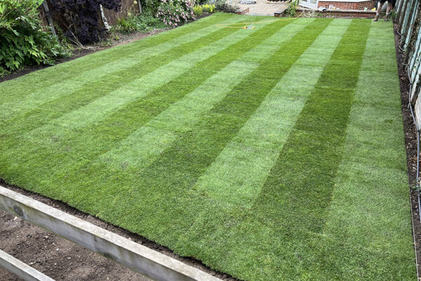 Turfing-01