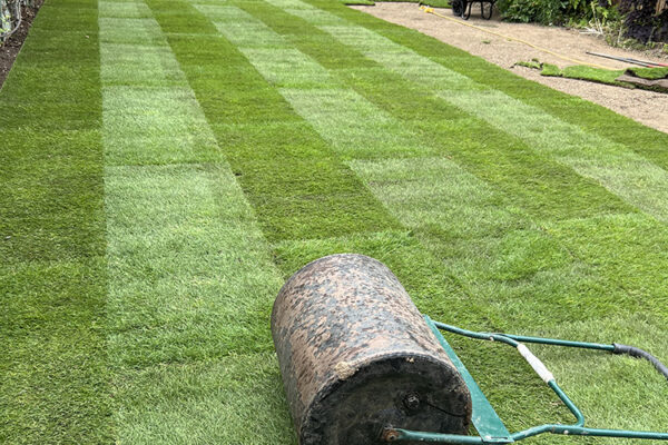 Turfing-03