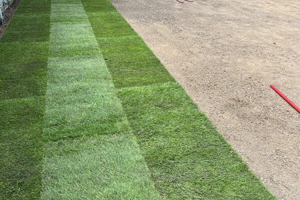 Turfing-04