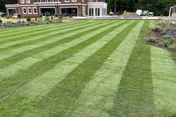 Turfing-07