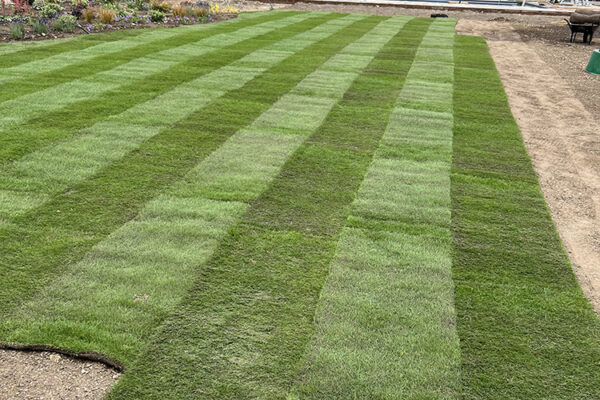 Turfing-08
