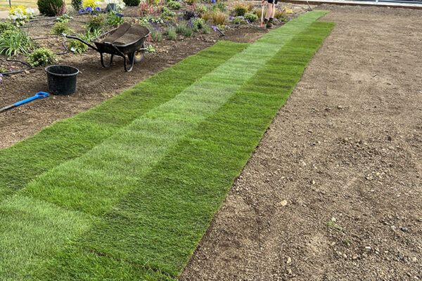 Turfing-09