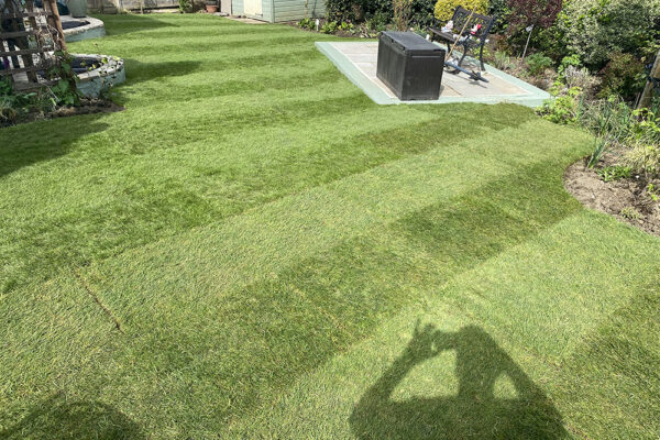 Turfing-17