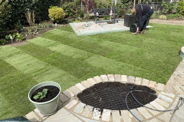 Turfing-19
