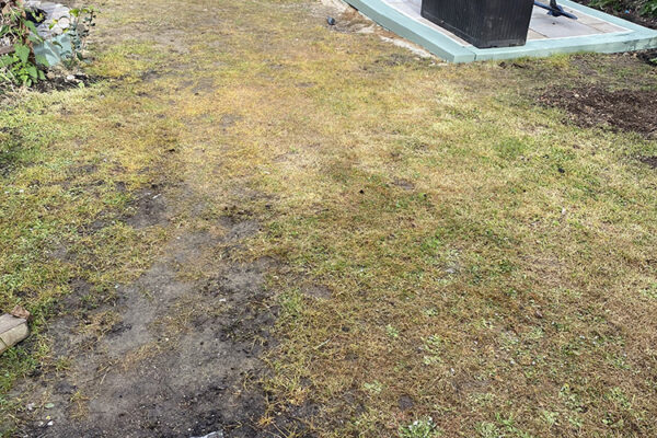 Turfing-21