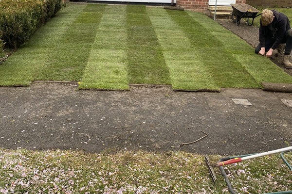 Turfing-22