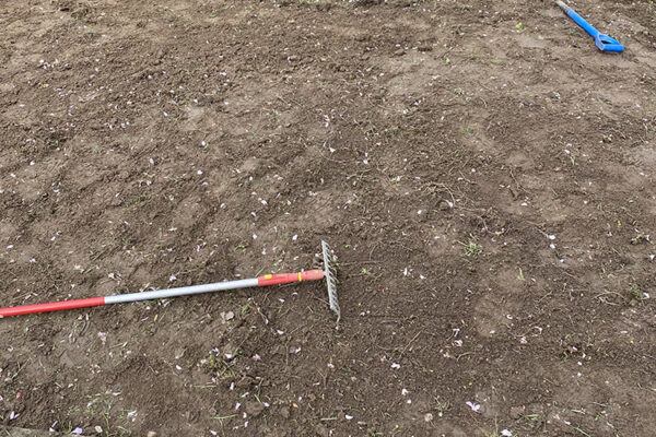 Turfing-24